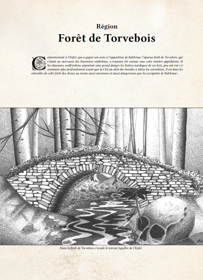 Aperçu du livre Rakhmar - illustration et forêt de Torvebois